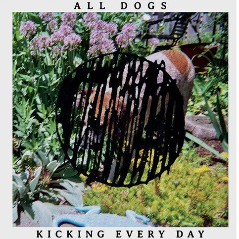 ALL DOGS- "Kicking Every Day" LP