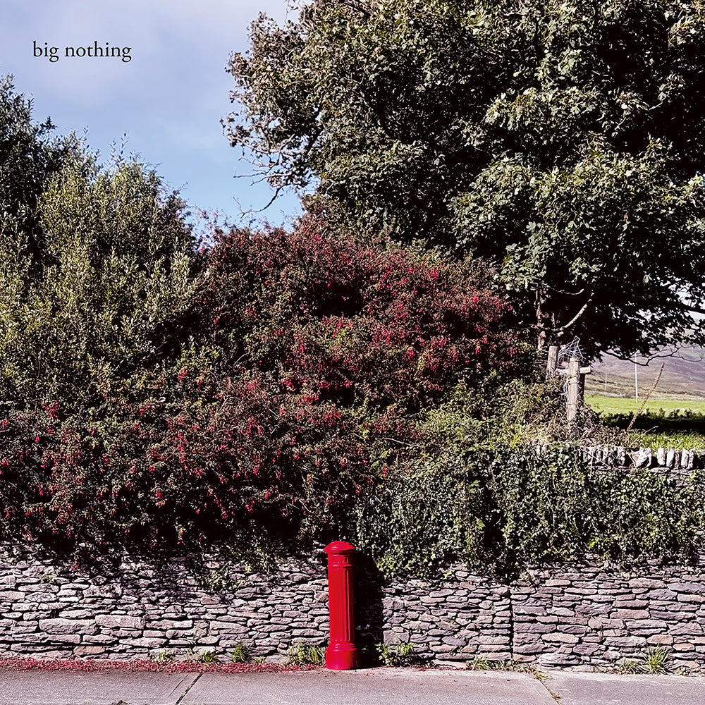 BIG NOTHING- S/T LP
