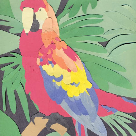 ALGERNON CADWALLADER- "Parrot Flies" LP (Red)