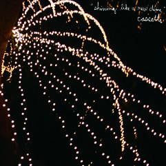 CASSETTE- "Shining Like A New Dime" CD