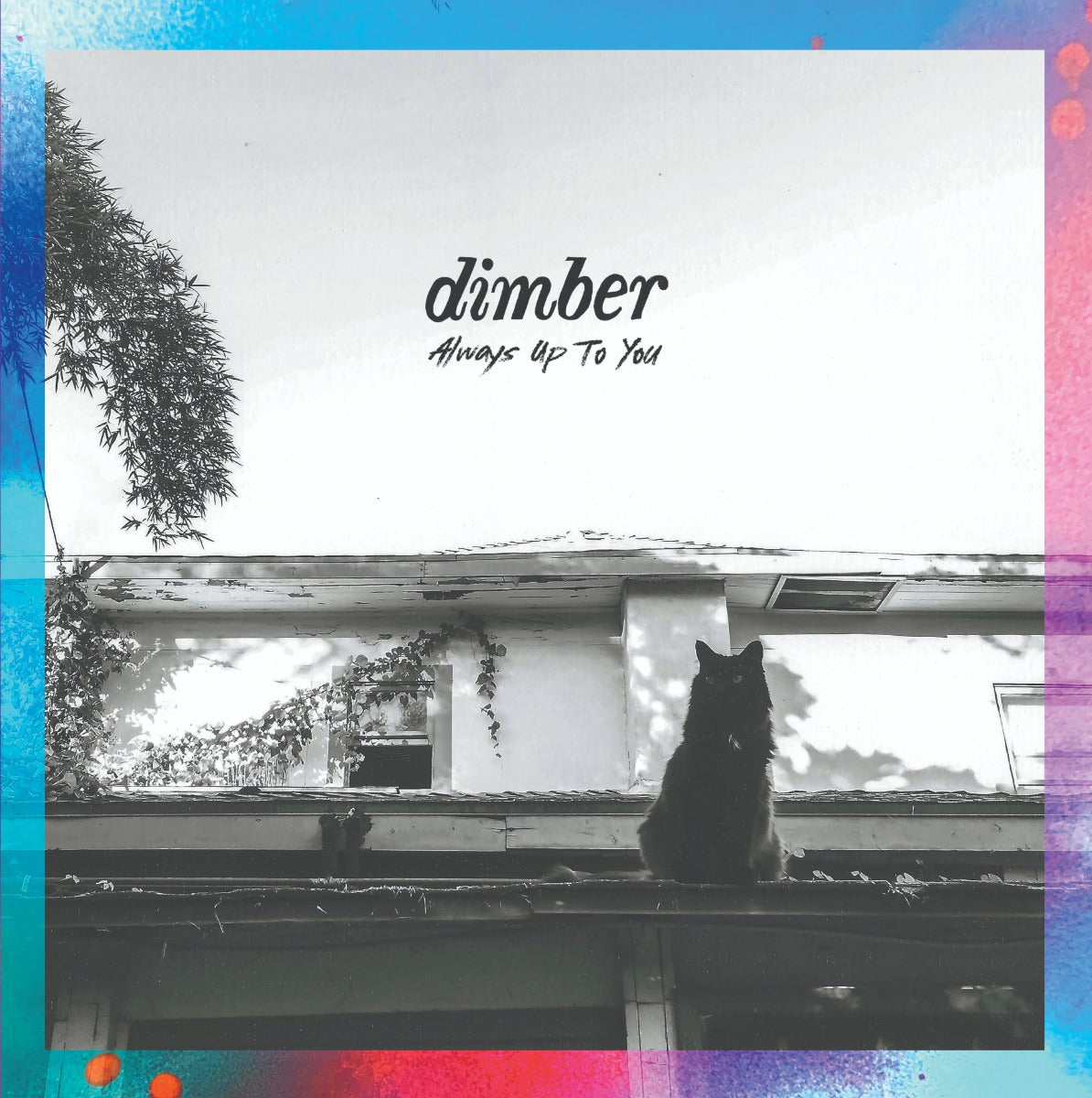 DIMBER- "Always Up 2 U" LP