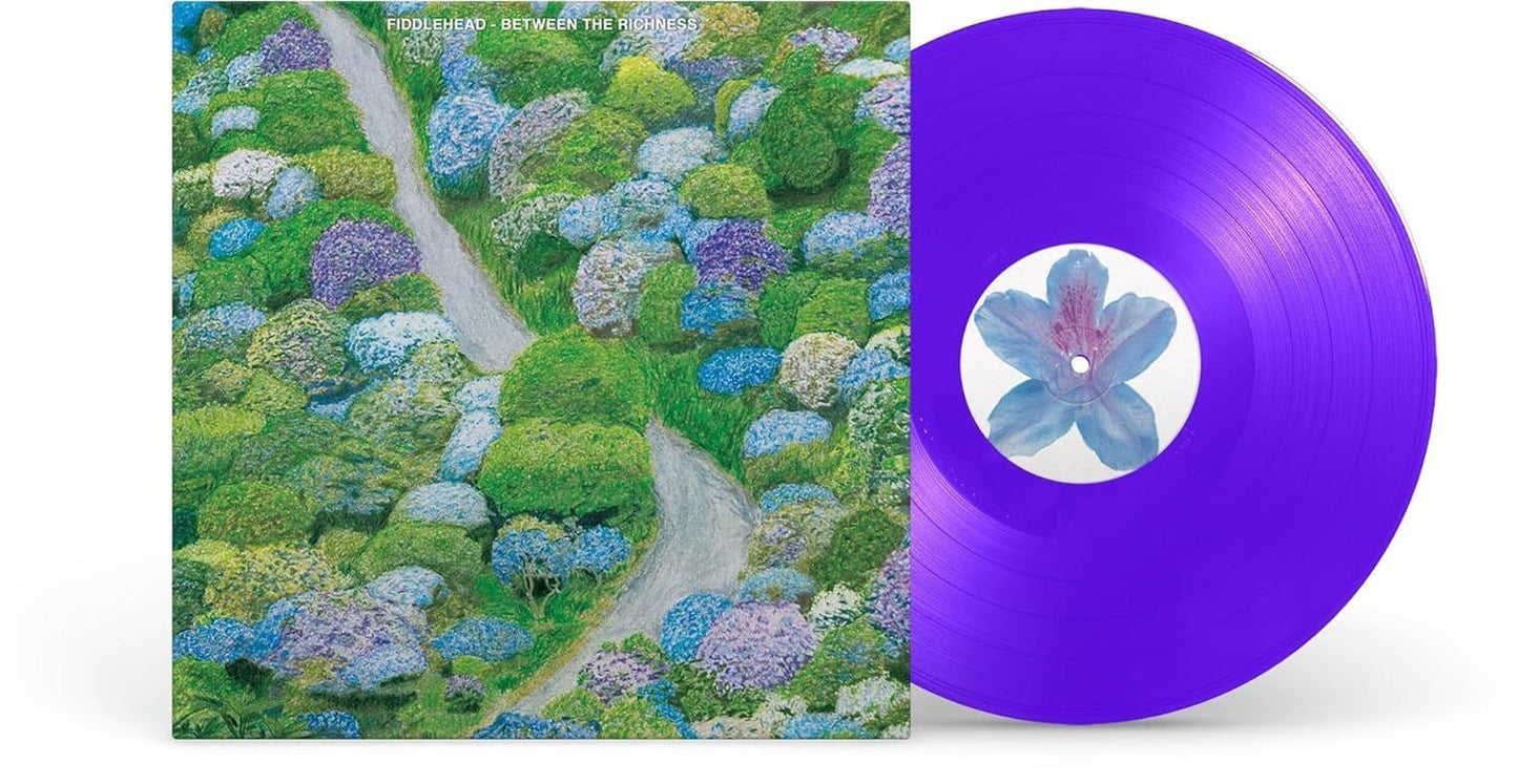 FIDDLEHEAD- "Between The Richness" LP (Violet)