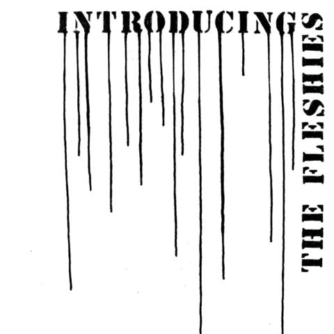 FLESHIES- "Introducing The Fleshies" LP