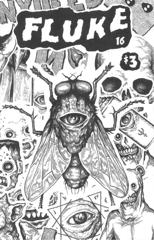 FLUKE- #16 "The Art Of Nxoeed" ZINE
