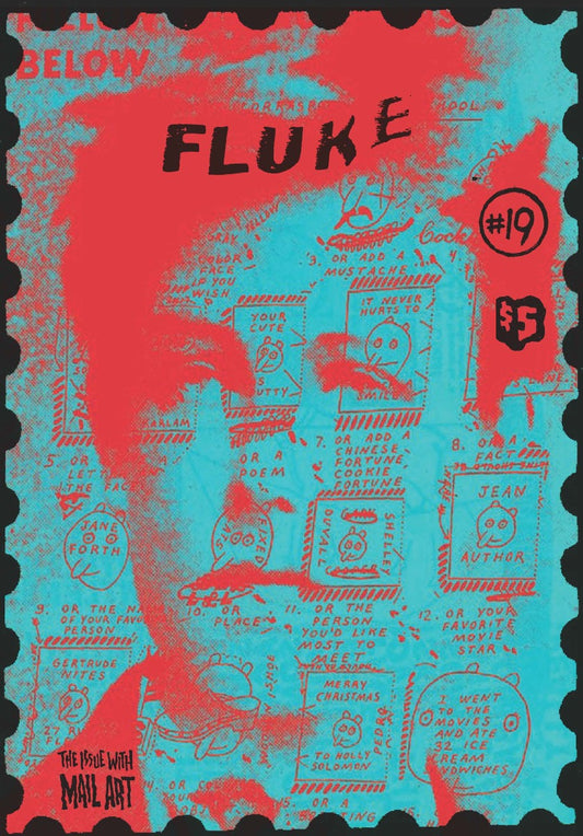 FLUKE- #19 ZINE