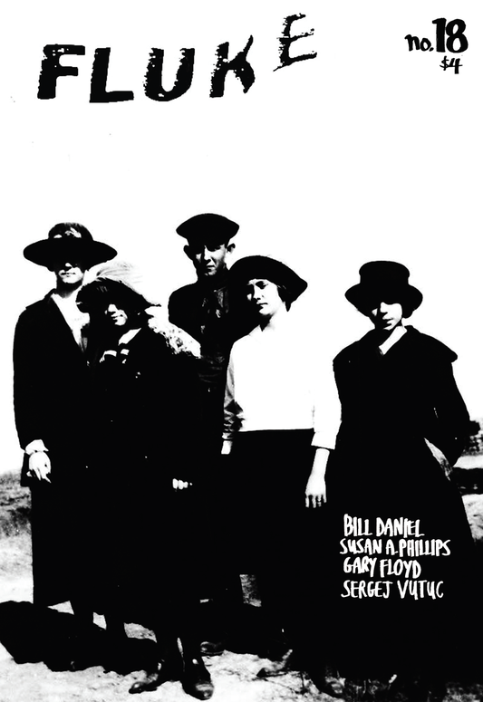 FLUKE- #18 ZINE