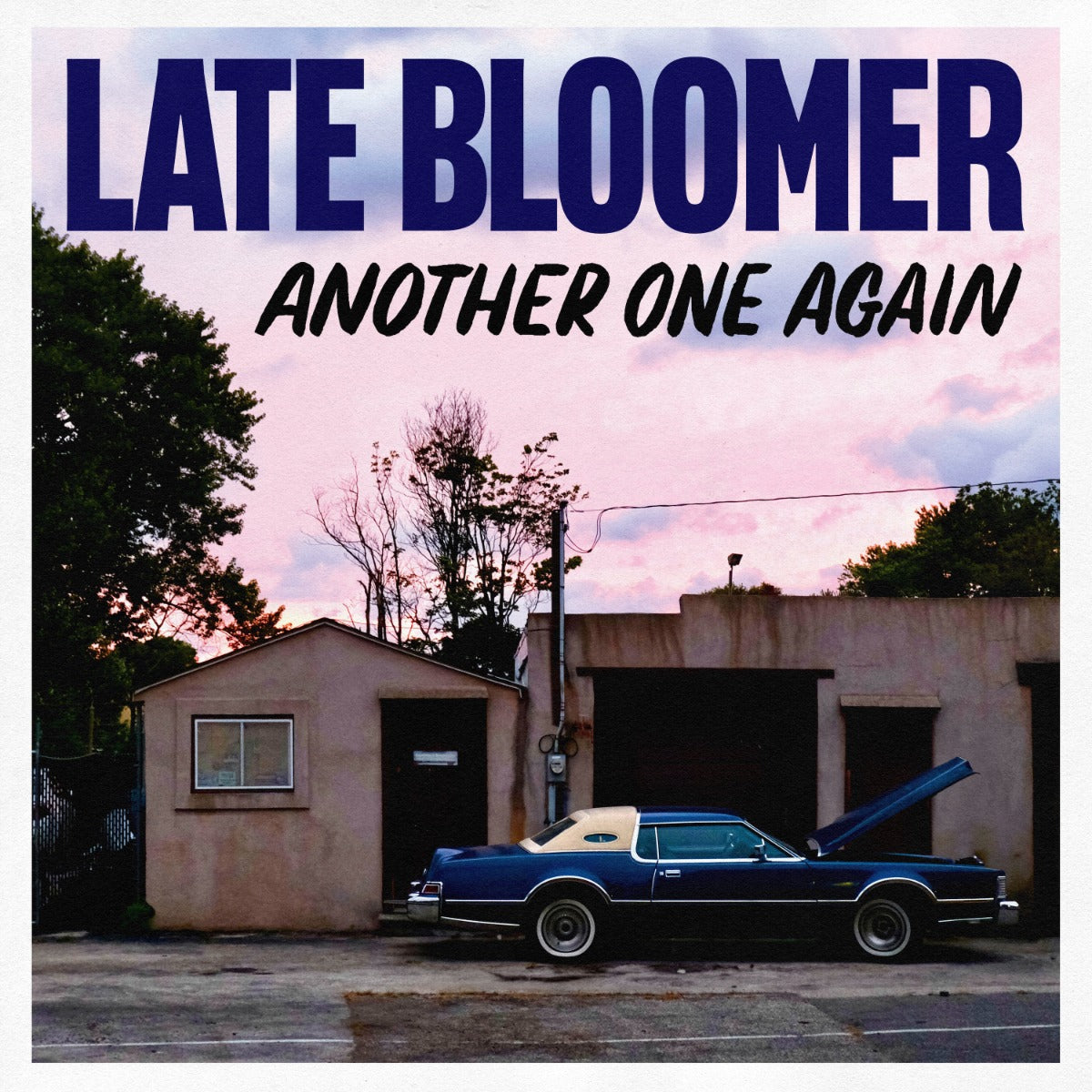 LATE BLOOMER- "Another One Again" LP