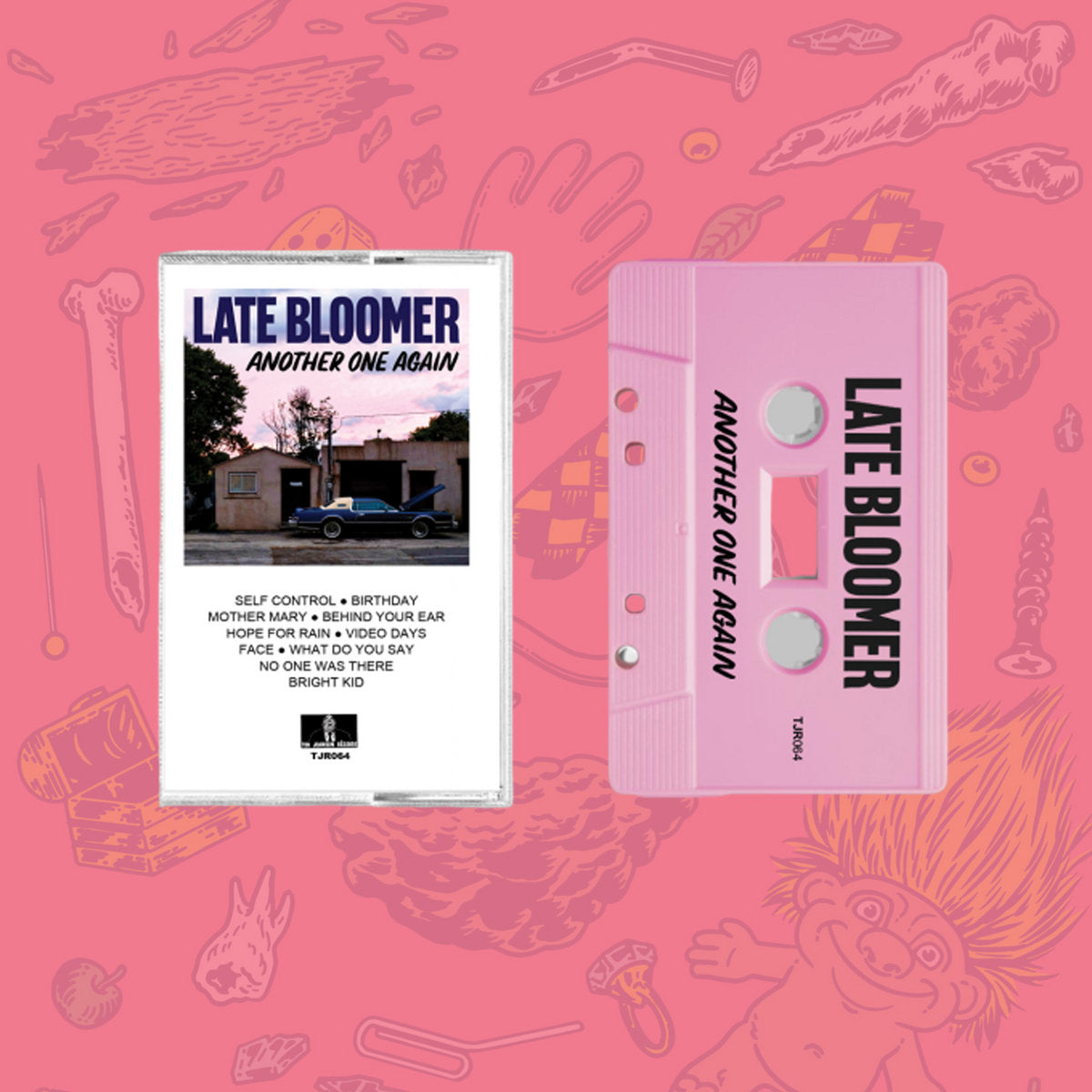 LATE BLOOMER- "Another One Again" TAPE