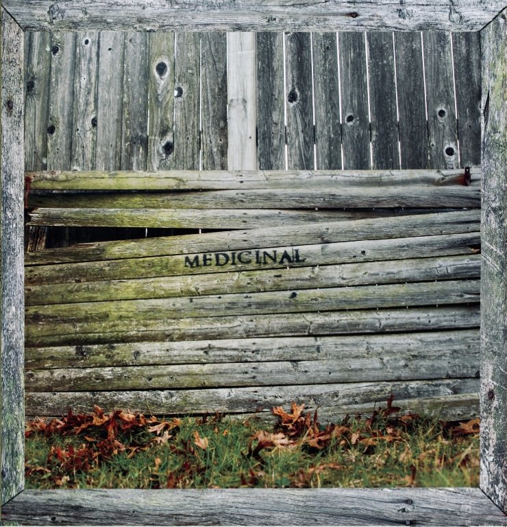 MEDICINAL- S/T LP (Green)