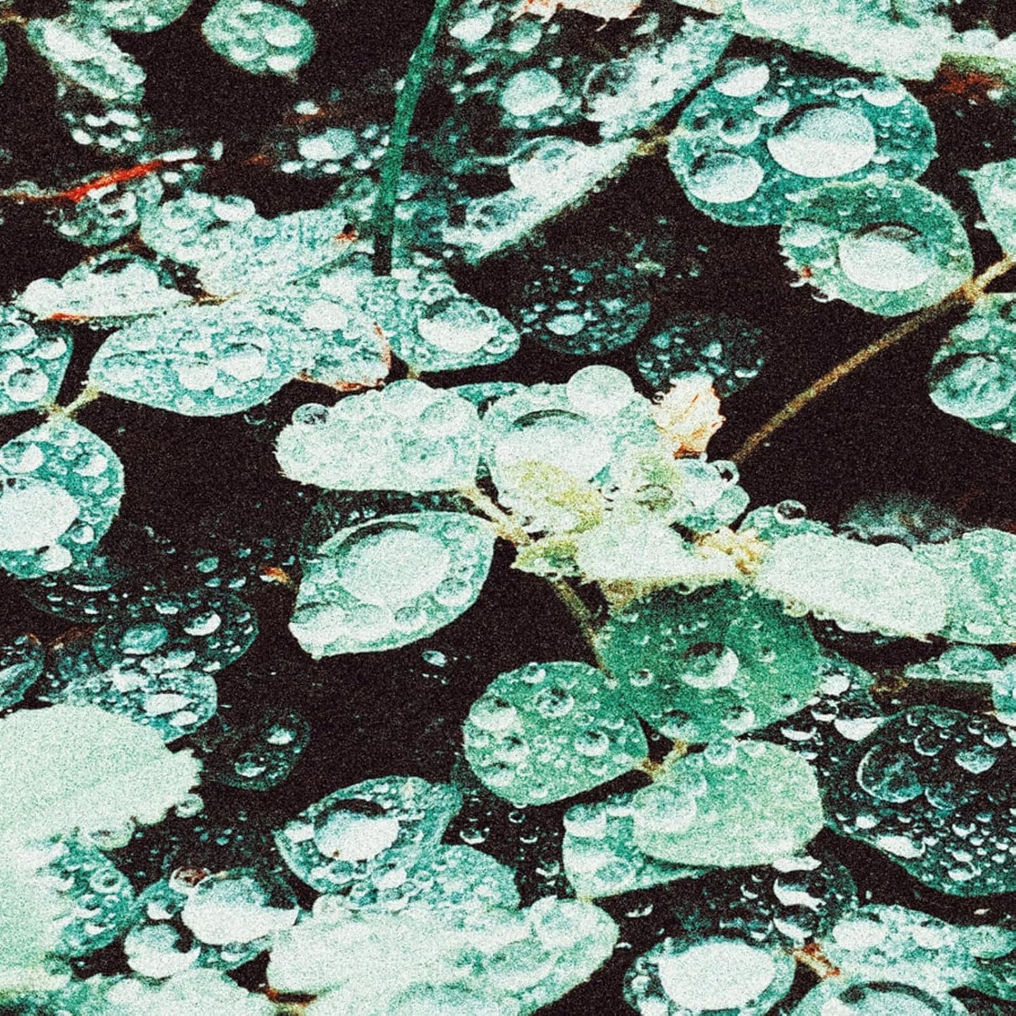 SADNESS- "Rain Chamber" LP (Glow-in-dark vinyl)