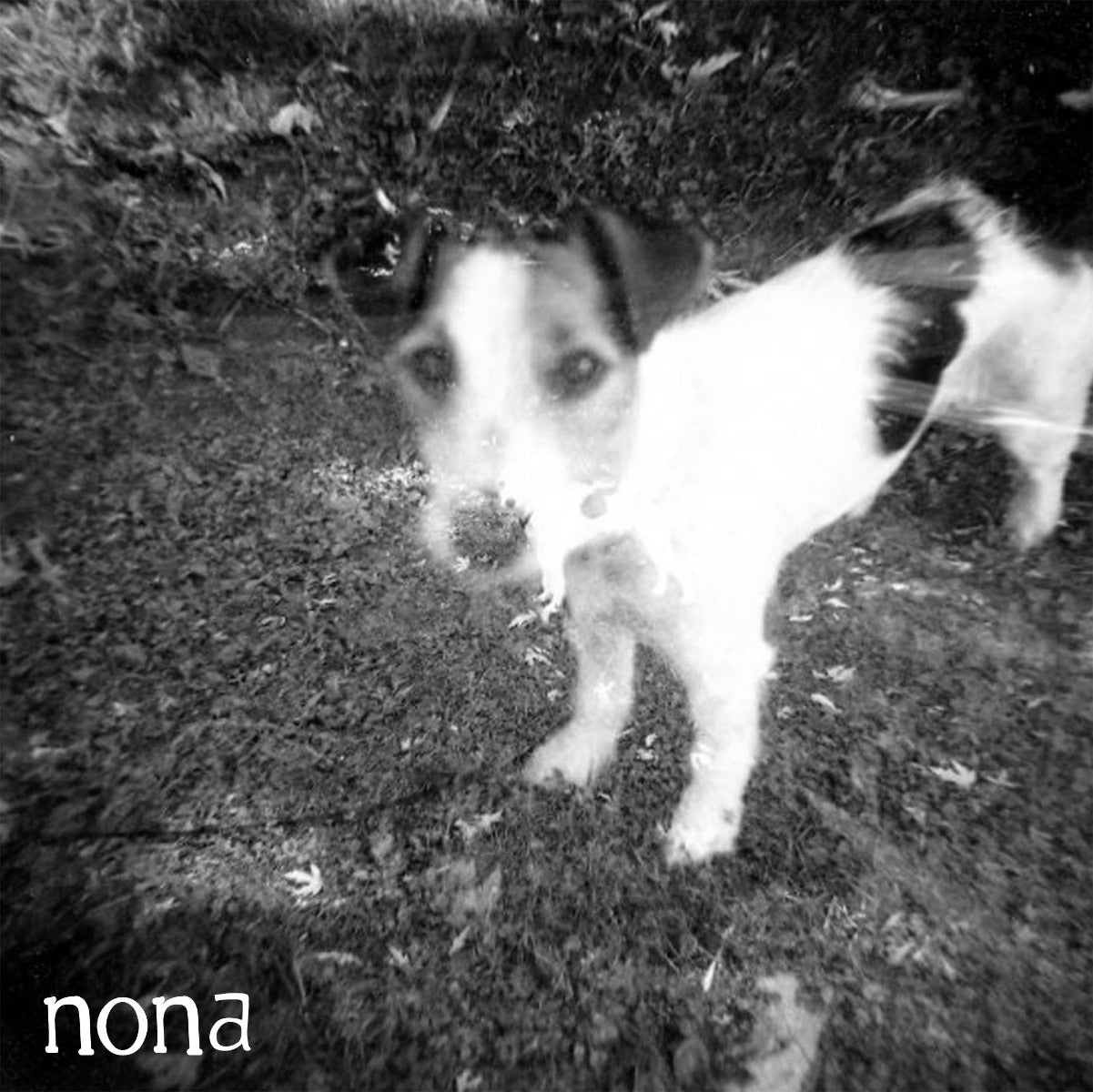 NONA / CROW BAIT- Split 7" EP