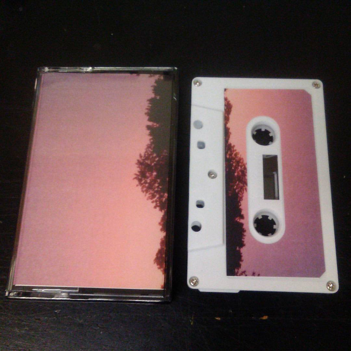 STARS ARE INSANE- "To Be Here" TAPE