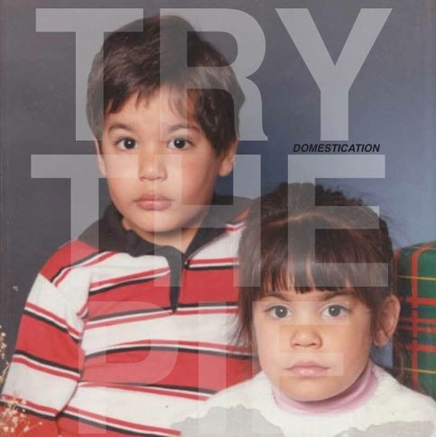 TRY THE PIE- "Domestication" LP