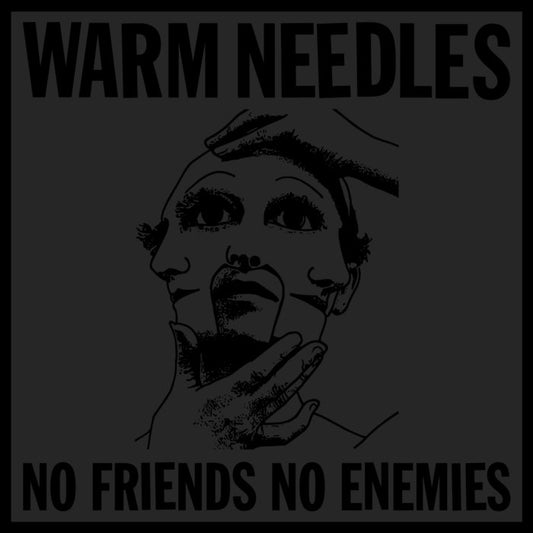 WARM NEEDLES- "No Friends No Enemies" 12"EP (Clear)