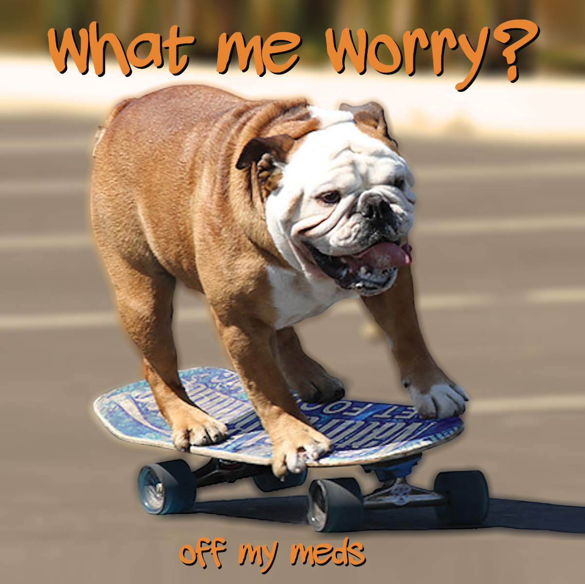 WHAT ME WORRY?- "Off My Meds" 7"EP