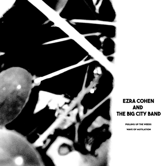 EZRA COHEN & BIG CITY BAND- "Pulling Up The Weeds/Wave Of Mutilation" 7" Lathe Cut