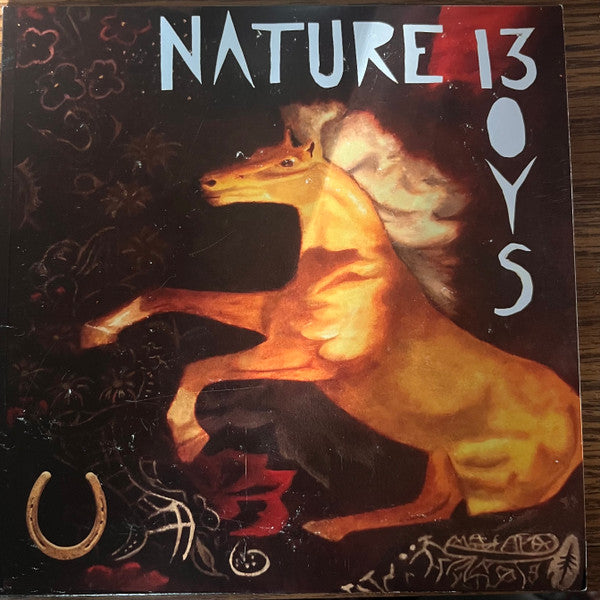 NATURE BOYS- "13 / Common Visions" 7"