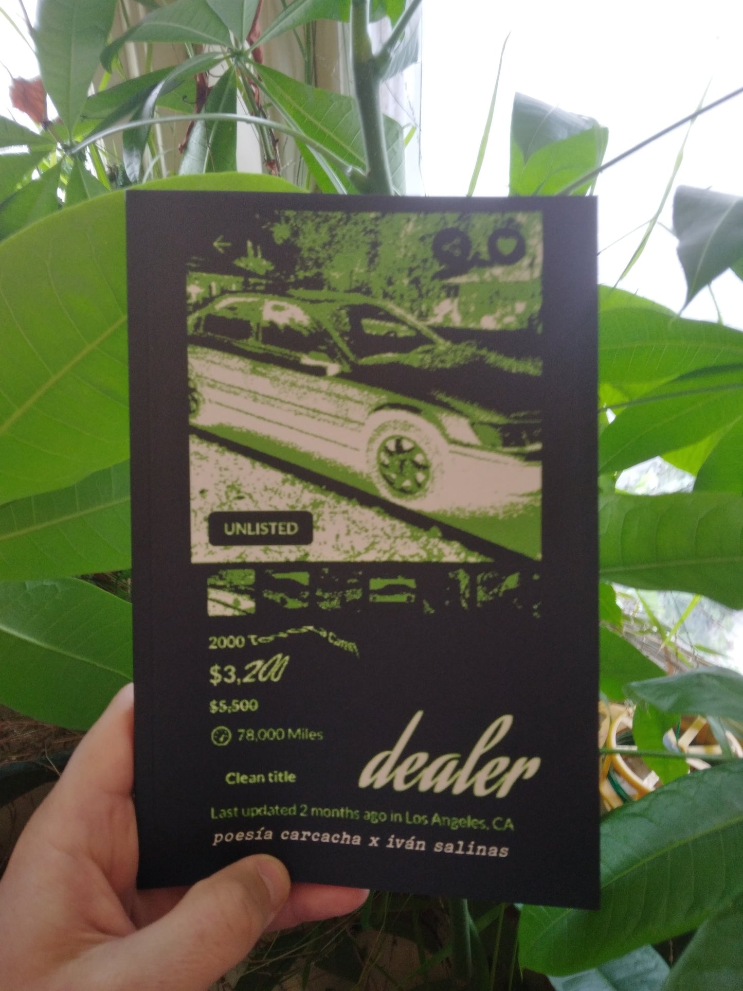 Dealer (by Iván Salinas) Book
