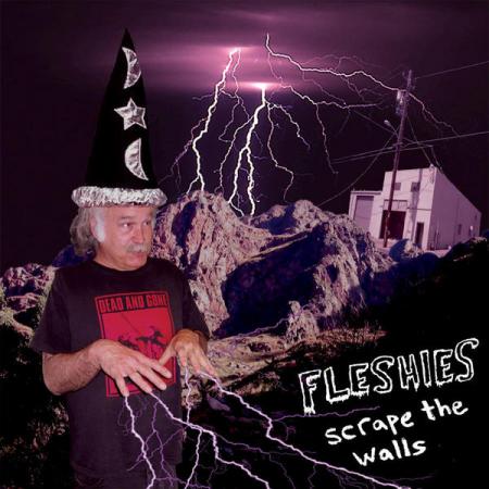 FLESHIES- "Scrape The Walls" LP