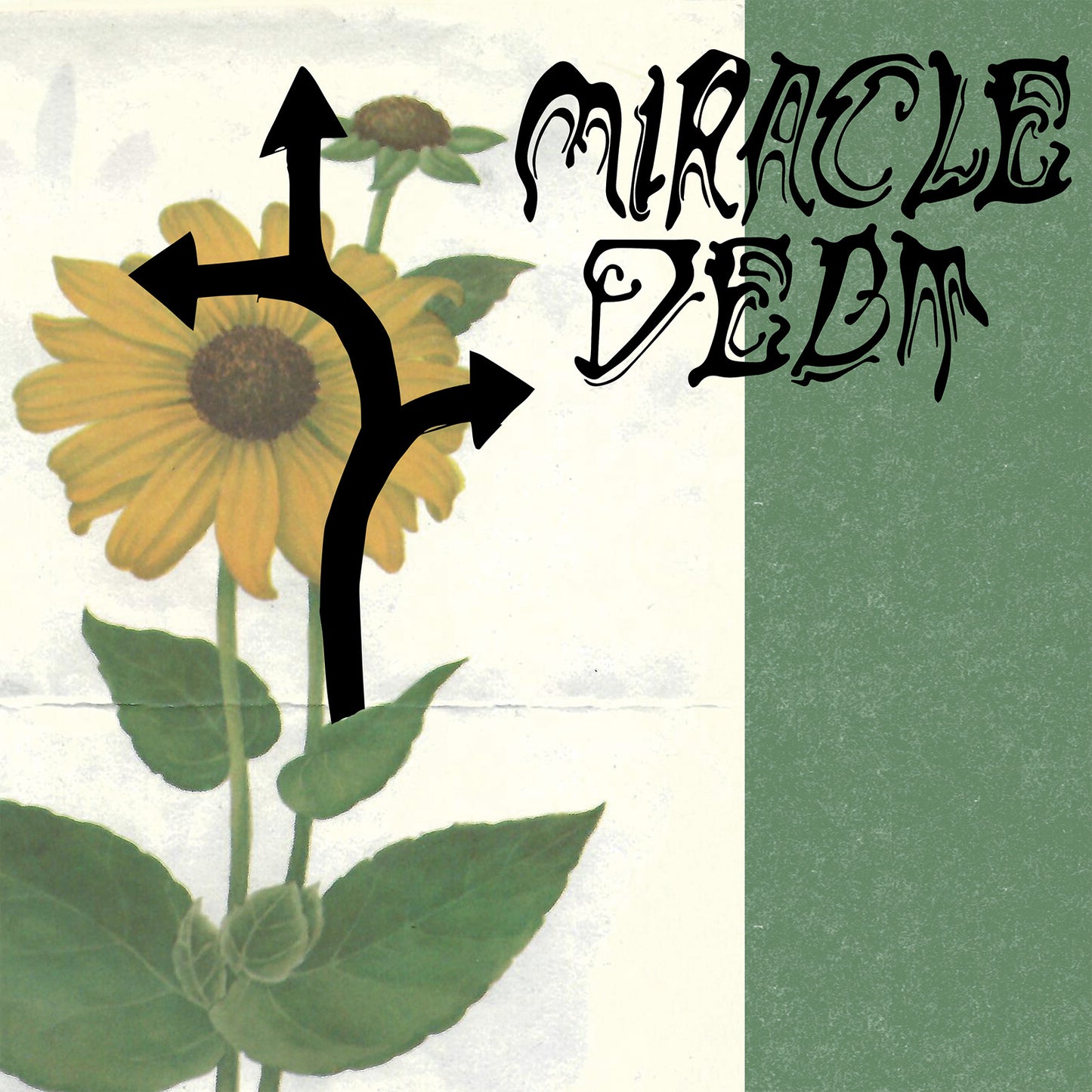 MIRACLE DEBT- "Under The Shadow" LP