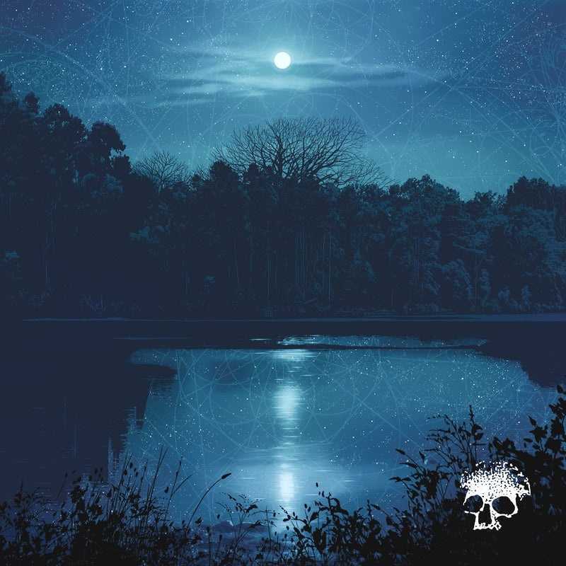 PLANES MISTAKEN FOR STARS- "Do You Still Love Me?" LP