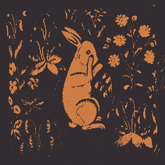 SADNESS- "Rabbit" LP (Color)