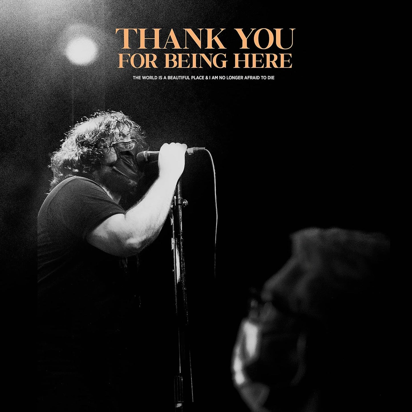 WORLD IS A BEAUTIFUL PLACE...- "Thank You For Being Here" LP