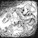 BLEED THE PIGS / THETAN- Split LP