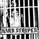 HARD STRIPES- S/T 7
